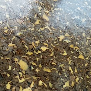 Septarian With Leather Finish